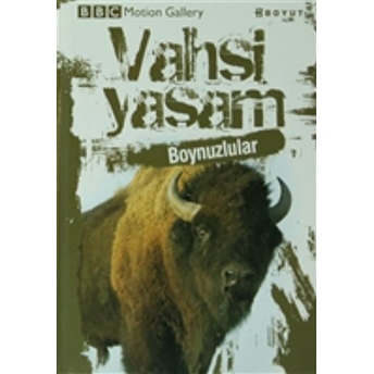 Vahşi Yaşam-Boynuzlular Pat Morris