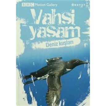 Vahşi Yaşam-Deniz Kuşları Jonathan Elphick