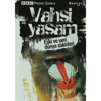 Vahşi Yaşam-Eski Ve Yeni Dünya Sakinleri Pat Morris