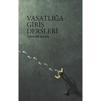 Vasatlığa Giriş Dersleri Taylan Kara