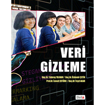 Veri Gizleme Feyzi Akar