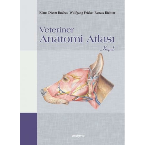 Veteriner Anatomi Atlası Köpek Ibrahim Kürtül