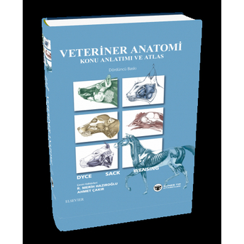 Veteriner Anatomi Konu Anlatımı Ve Atlas K.m. Dyce