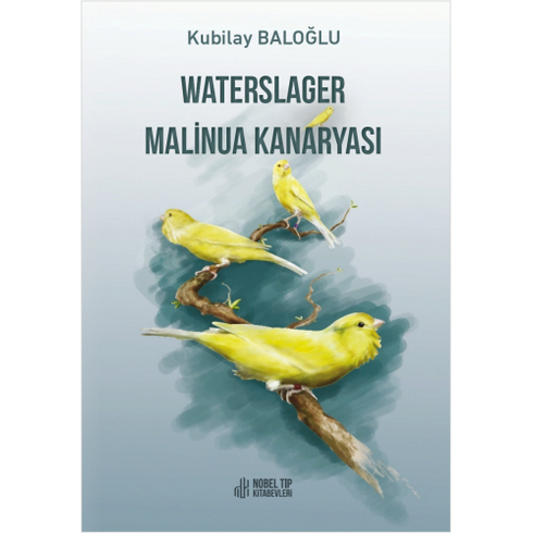 Waterslager Malinua Kanaryası - Kubilay Baloğlu