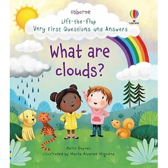 What Are Clouds? Lift The Flap First Questions And Answers - Daynes Katie