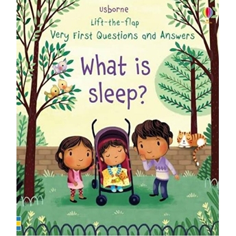 What Is Sleep? - Lift-The-Flap Very First Questions & Answers - Katie Daynes