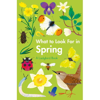 What To Look For In Spring Ciltli Elizabeth Jenner