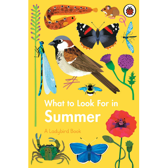 What To Look For In Summer Ciltli Elizabeth Jenner