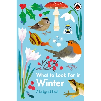 What To Look For In Winter Ciltli Elizabeth Jenner