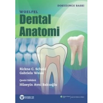 Woelfel Dental Anatomi Rickne C. Schied