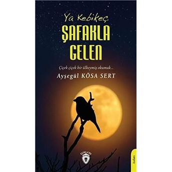 Ya Kebikeç! Şafakla Gelen Ayşegül Kösa Sert