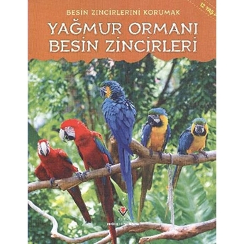 Yağmur Ormanı - Besin Zincirleri Heidi Moore