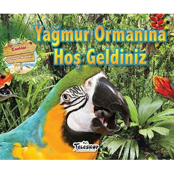 Yağmur Ormanına Hoş Geldiniz