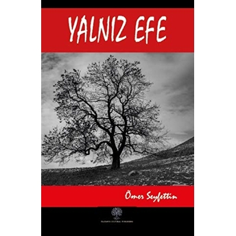 Yalnız Efe