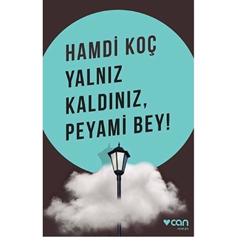 Yalnız Kaldınız, Peyami Bey! Hamdi Koç