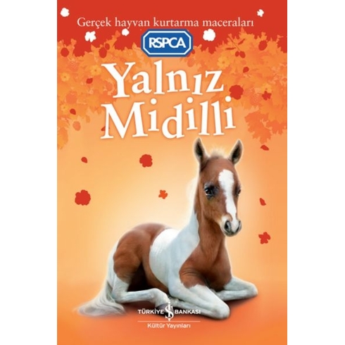 Yalnız Midilli Sarah Hawkıns