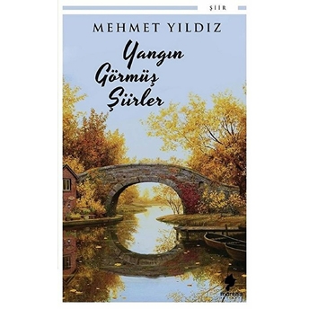 Yangın Görmüş Şiirler - Mehmet Yıldız - Mehmet Yıldız