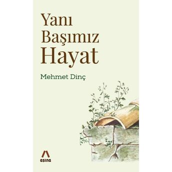 Yanı Başımız Hayat Mehmet Dinç