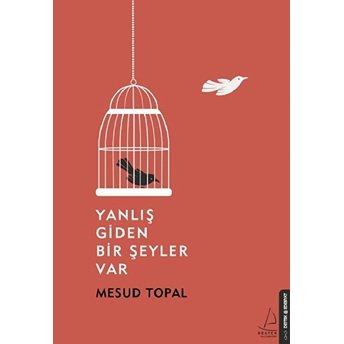 Yanlış Giden Bir Şeyler Var Mesud Topal