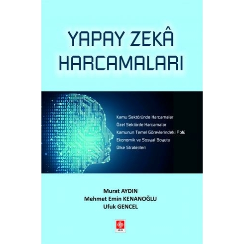 Yapay Zeka Harcamaları - Murat Aydın