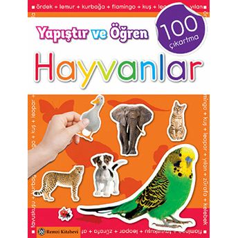 Yapıştır Ve Öğren Hayvanlar Kolektif