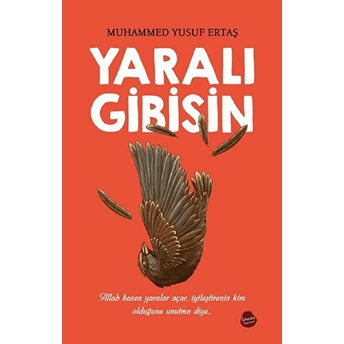 Yaralı Gibisin - Muhammed Yusuf Ertaş