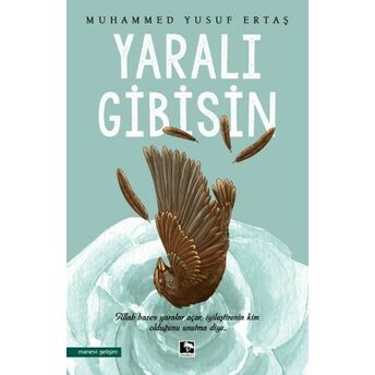 Yaralı Gibisin Muhammed Yusuf Ertaş