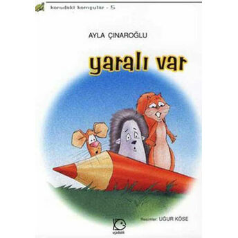 Yaralı Var Ayla Çınaroğlu