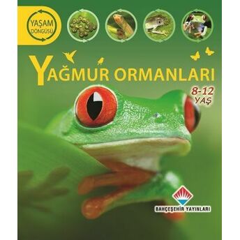 Yaşam Döngüsü - Yağmur Ormanları (8-12 Ages) Sean Callery