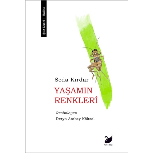 Yaşamın Renkleri Seda Kırdar