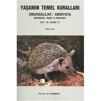 Yaşamın Temel Kuralları Cilt 3 - Kısım 2 Ali Demirsoy