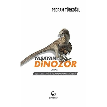 Yaşayan Dinozor - Avian Pedram Türkoğlu