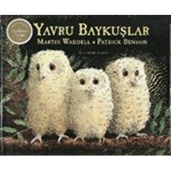 Yavru Baykuşlar Martin Waddell, Patrick Besson