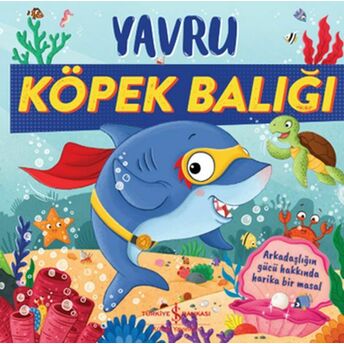 Yavru Köpek Balığı Stephanie Moss