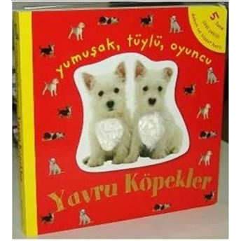 Yavru Köpekler Dokun Hisset Kolektif