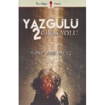 Yaz Gülü 2 Çıkış Yolu Ayşe Yamaç