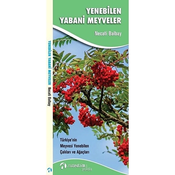 Yenilebilen Yabani Meyveler Necati Balbay