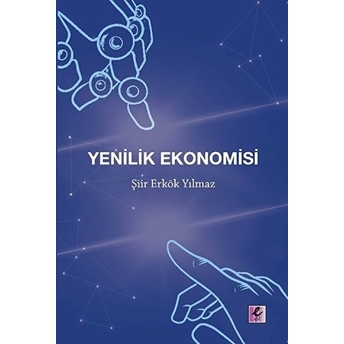 Yenilik Ekonomisi Şiir Erkök Yılmaz