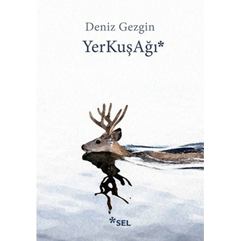 Yerkuşağı Deniz Gezgin