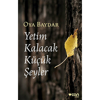 Yetim Kalacak Küçük Şeyler Oya Baydar