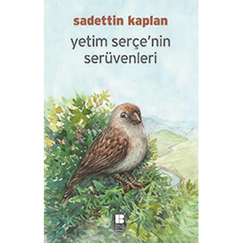 Yetim Serçe'nin Serüvenleri Sadettin Kaplan