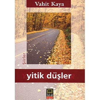 Yitik Düşler Vahit Kara