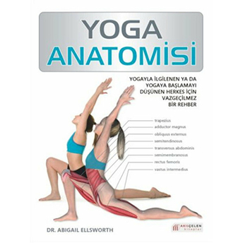 Yoga Anatomisi Abigail Ellsworth