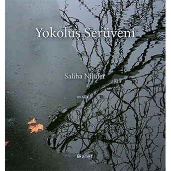 Yokoluş Serüveni Saliha Nilüfer