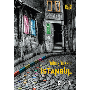 Yokuş Yukarı Istanbul Sibel Öz