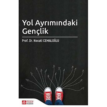 Yol Ayrımındaki Gençlik - Necati Cemaloğlu