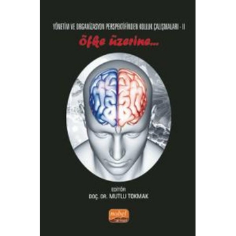 Yönetim Ve Organizasyon Perspektifinden Kolluk Çalışmaları Iı - Öfke Üzerine..