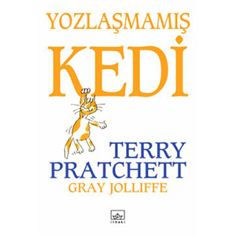 Yozlaşmamış Kedi Terry Pratchett