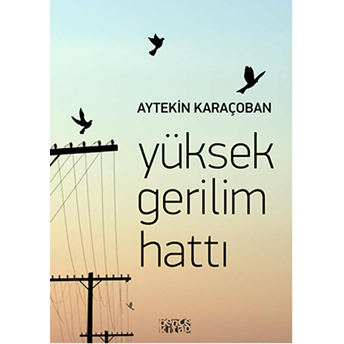 Yüksek Gerilim Hattı Aytekin Karaçoban