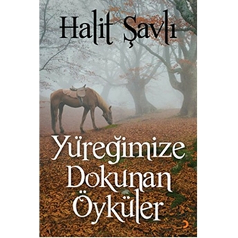 Yüreğimize Dokunan Öyküler-Halit Şavlı